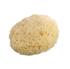 Natural Honeycomb Sea Sponge 7-7.5inch Bleached & Unbleached (Packs of 1 & 3)